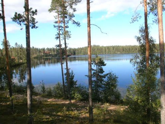 salvonen